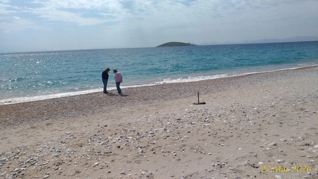 Palamutbükü Plajı — fotoğraf 2