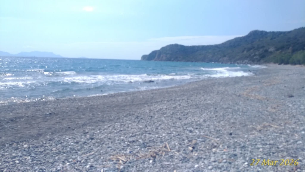 Palamutbükü Plajı — fotoğraf 3