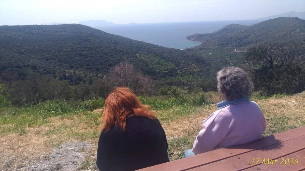 Palamutbükü Plajı — fotoğraf 4