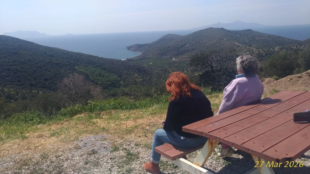 Palamutbükü Plajı — fotoğraf 5