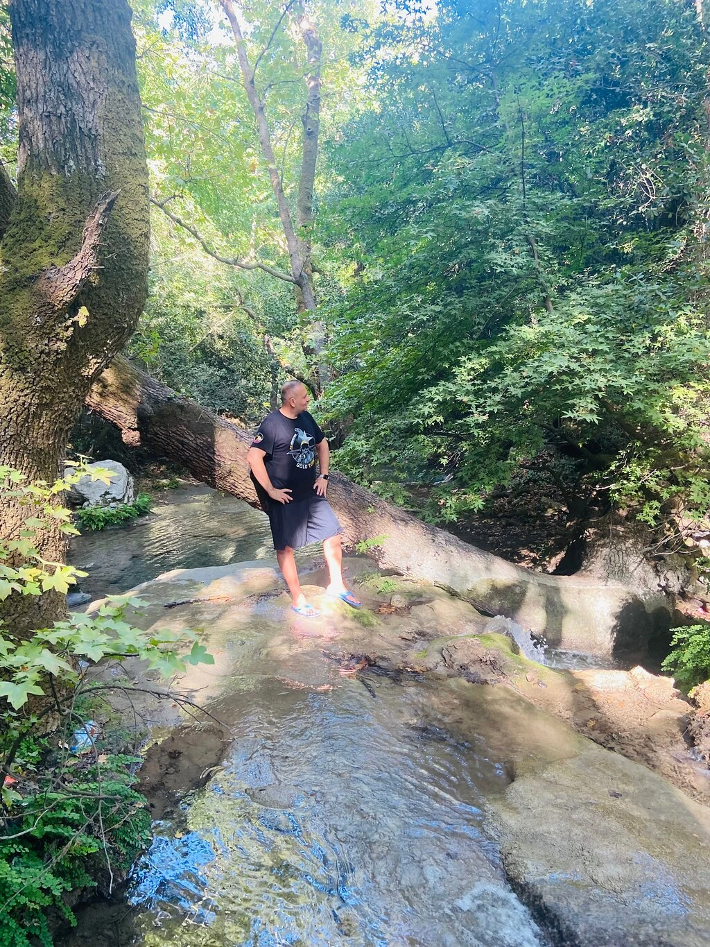 Turgut Şelalesi — fotoğraf 4