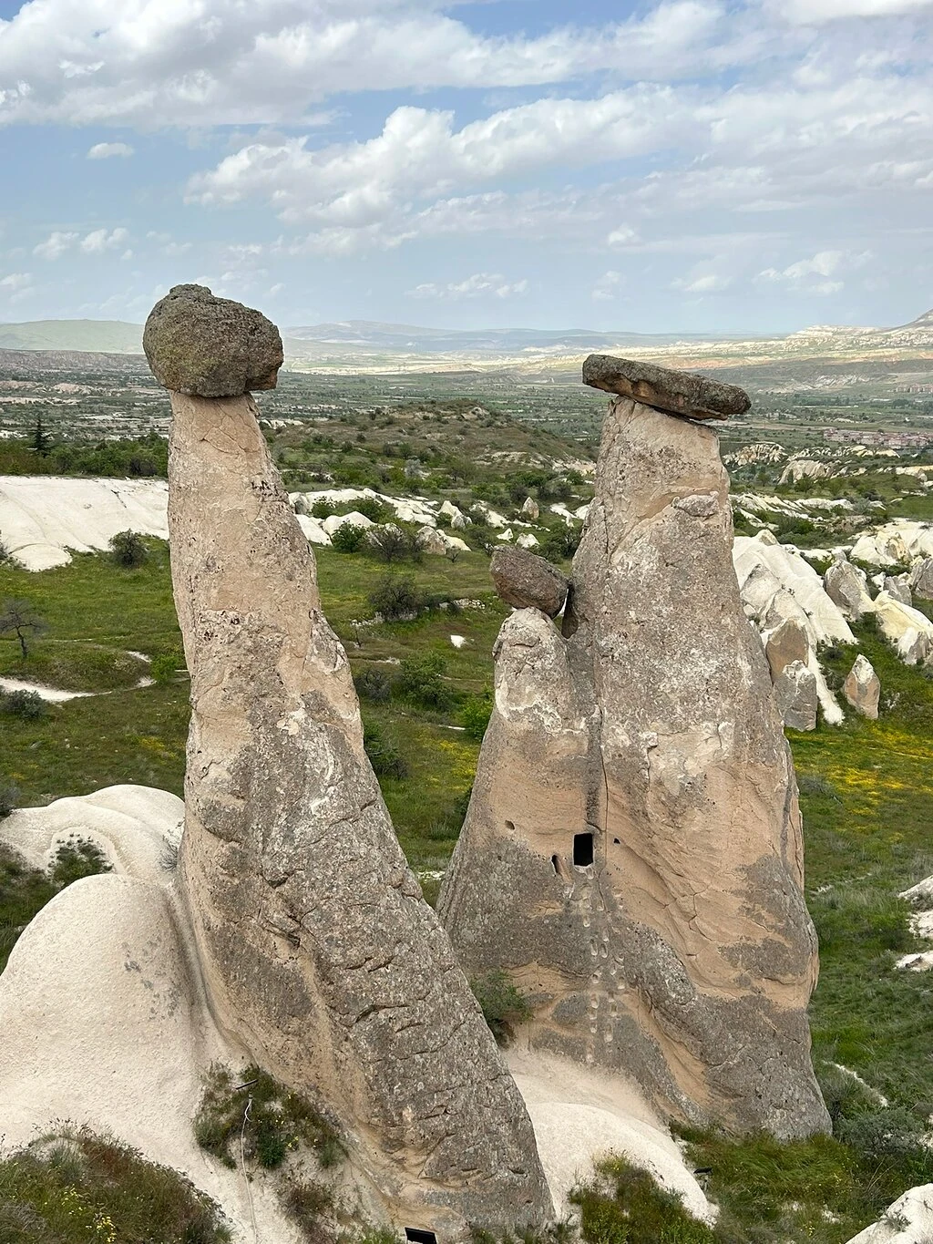 Three beauties — fotoğraf 2