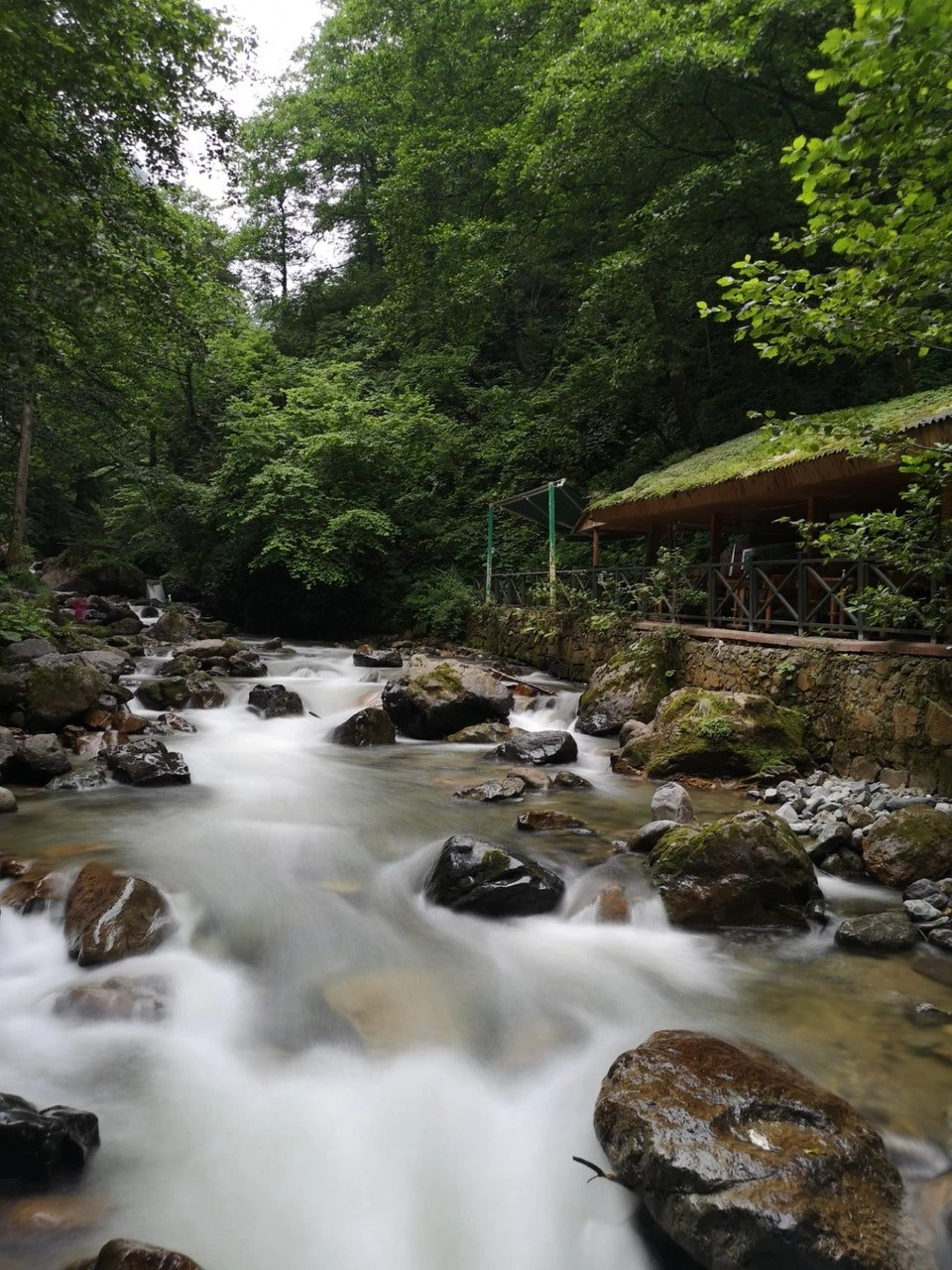Altındere Vadisi Millî Parkı — fotoğraf 5