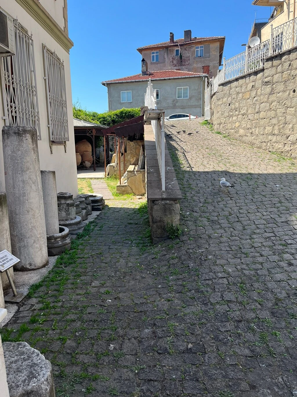 Karadeniz Ereğli Müzesi — fotoğraf 3